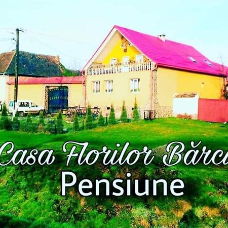 Casa Florilor Barcut Apartment Екстериор снимка