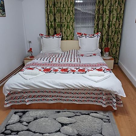 Casa Florilor Barcut Apartment Екстериор снимка