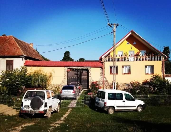 Casa Florilor Barcut Apartment Екстериор снимка
