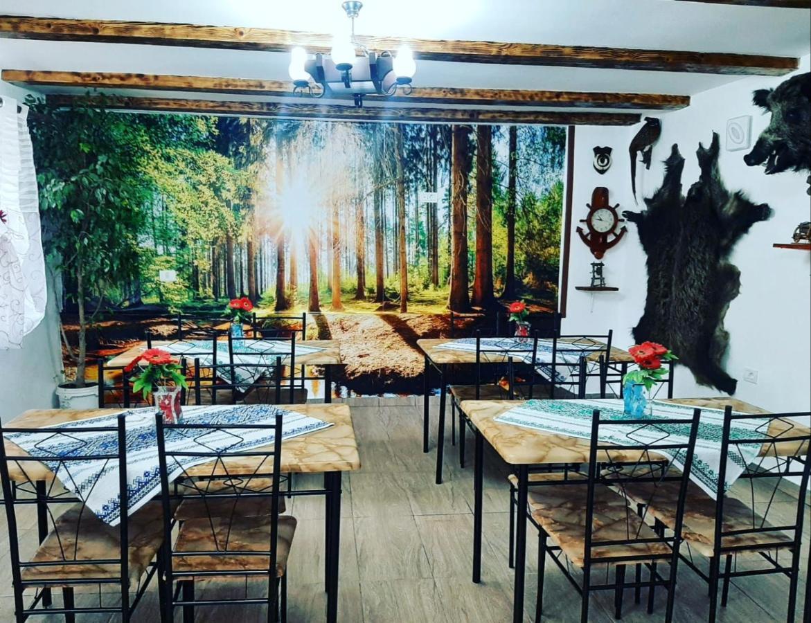 Casa Florilor Barcut Apartment Екстериор снимка