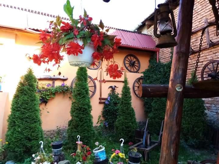 Casa Florilor Barcut Apartment Екстериор снимка