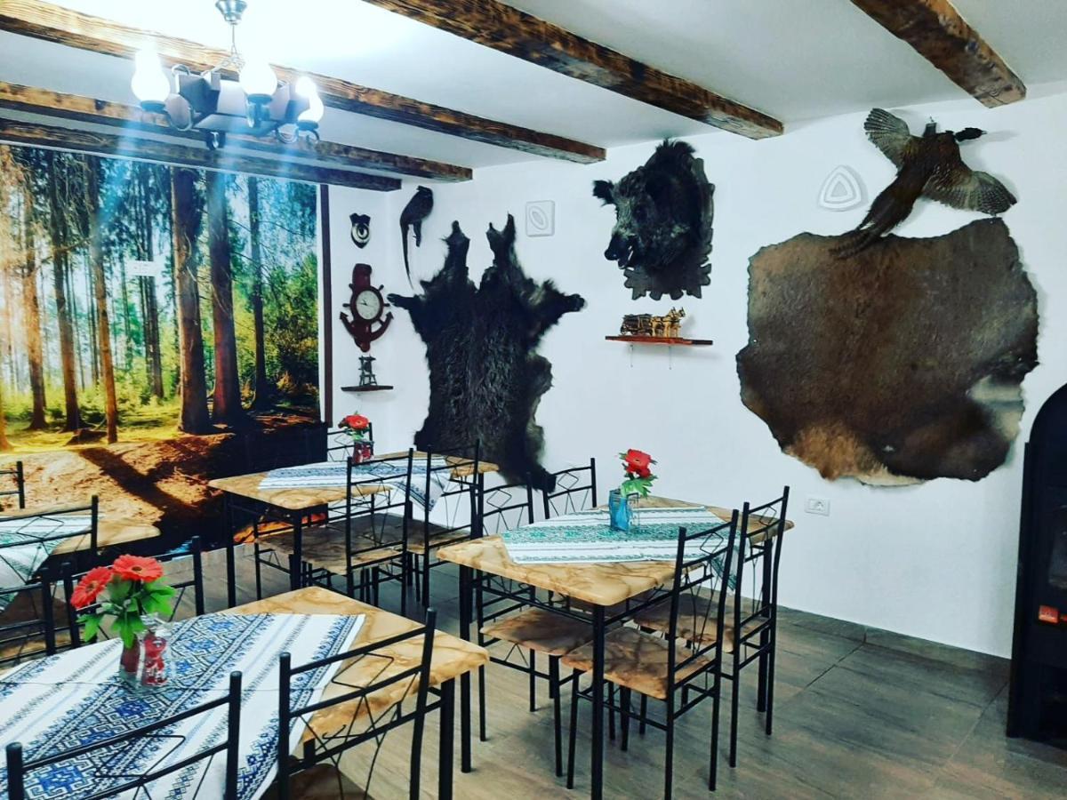 Casa Florilor Barcut Apartment Екстериор снимка