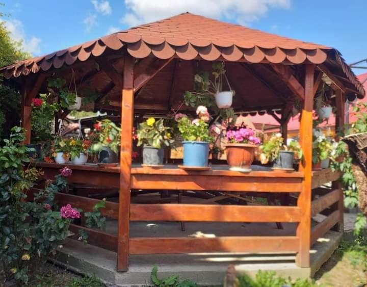 Casa Florilor Barcut Apartment Екстериор снимка