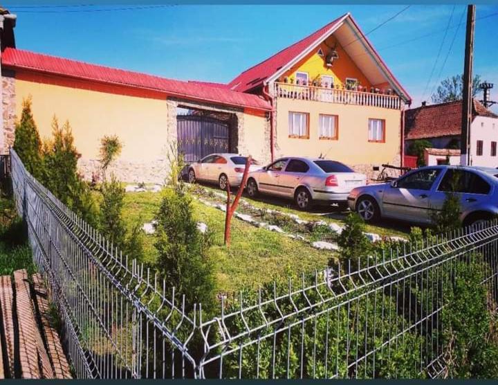 Casa Florilor Barcut Apartment Екстериор снимка