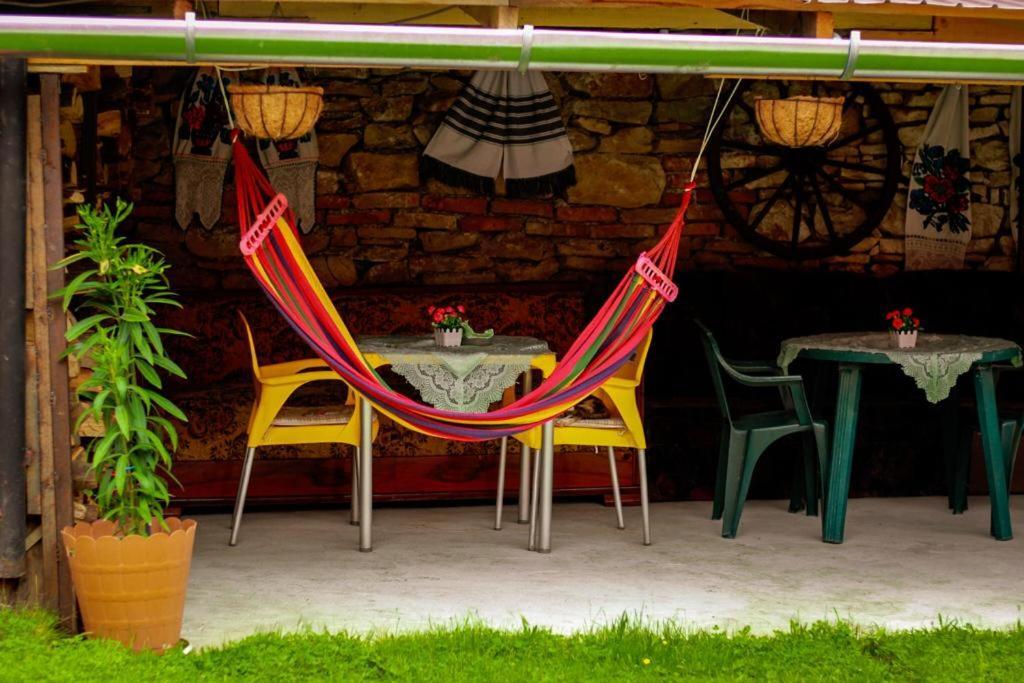 Casa Florilor Barcut Apartment Екстериор снимка