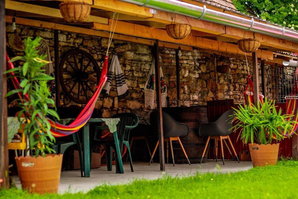 Casa Florilor Barcut Apartment Екстериор снимка