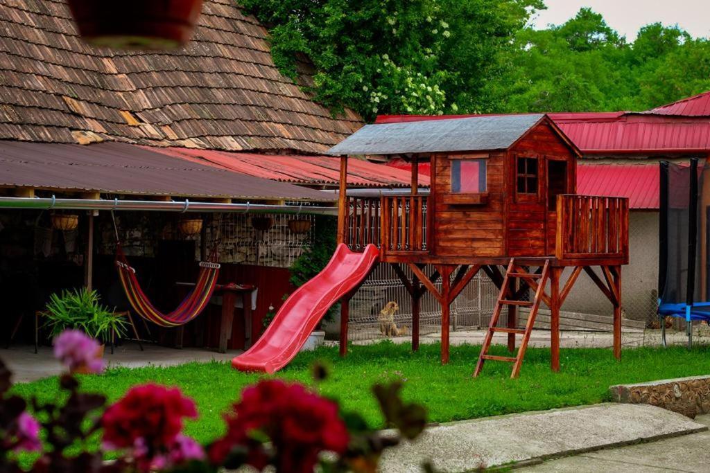 Casa Florilor Barcut Apartment Екстериор снимка
