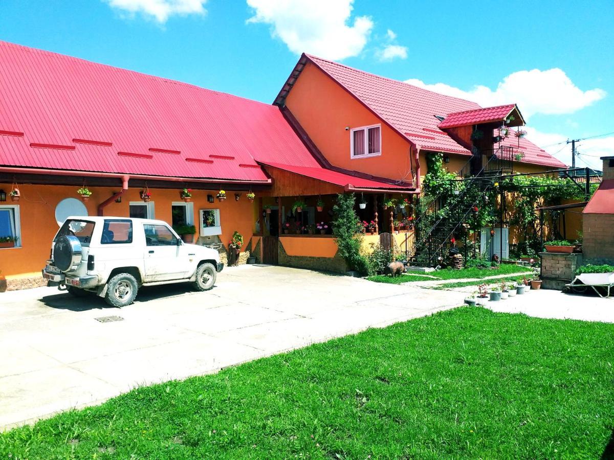Casa Florilor Barcut Apartment Екстериор снимка