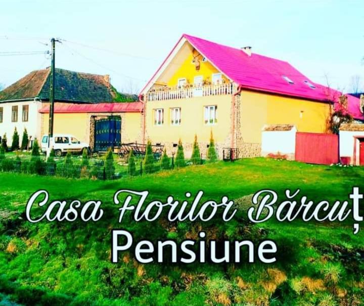 Casa Florilor Barcut Apartment Екстериор снимка