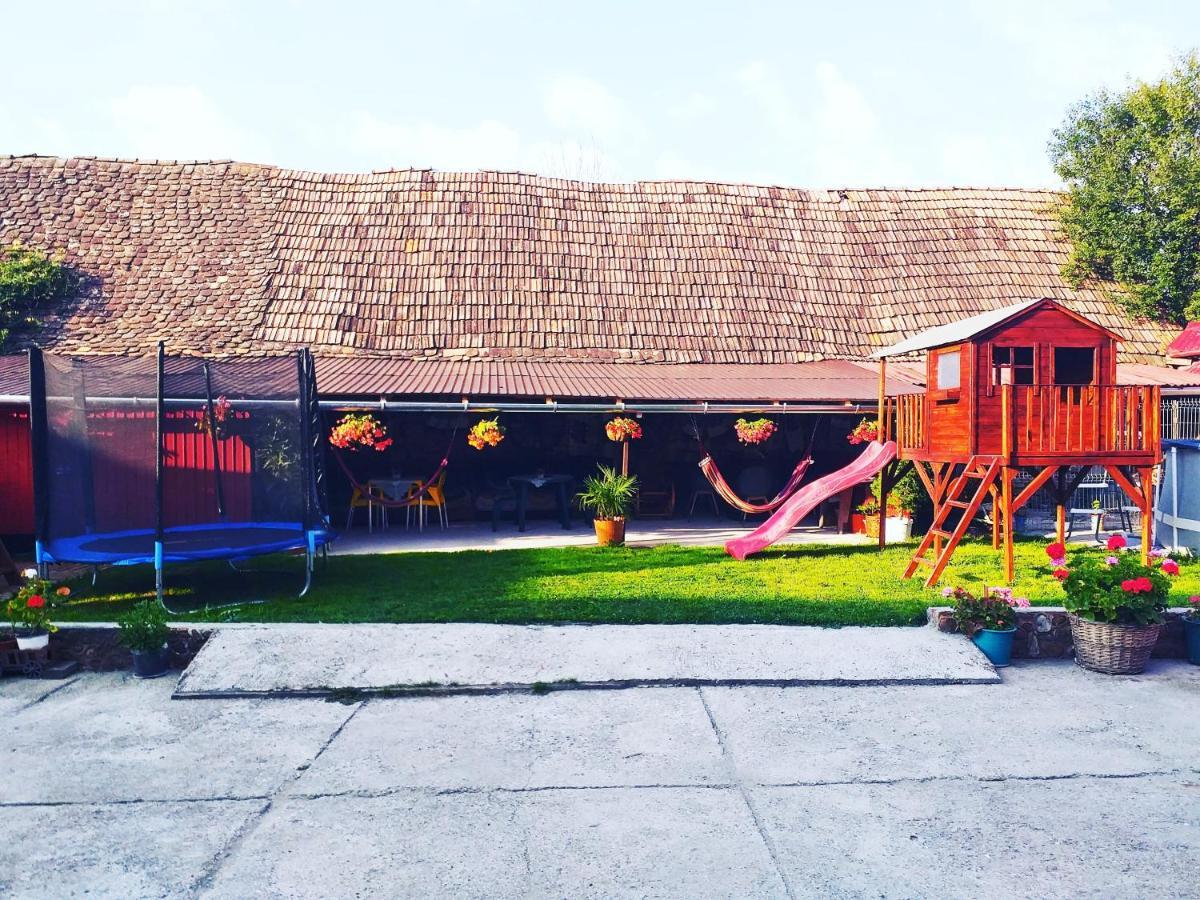 Casa Florilor Barcut Apartment Екстериор снимка