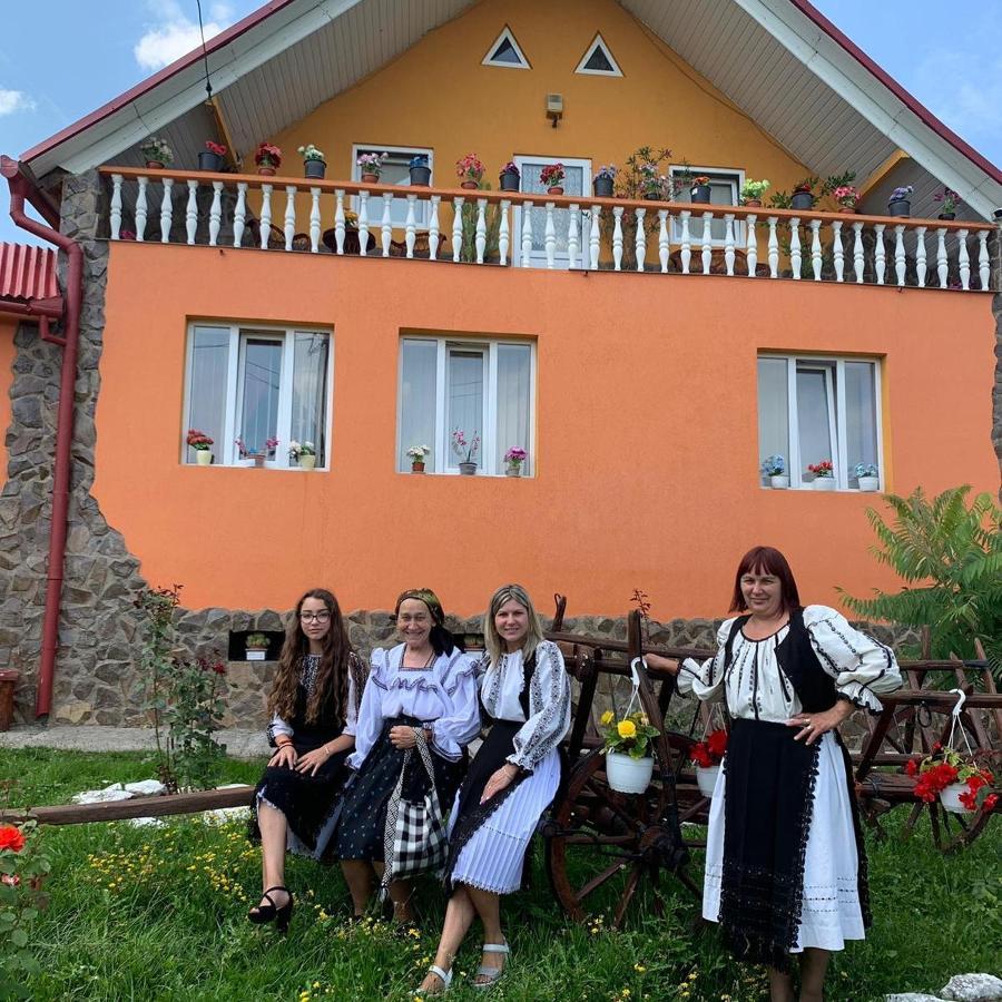 Casa Florilor Barcut Apartment Екстериор снимка