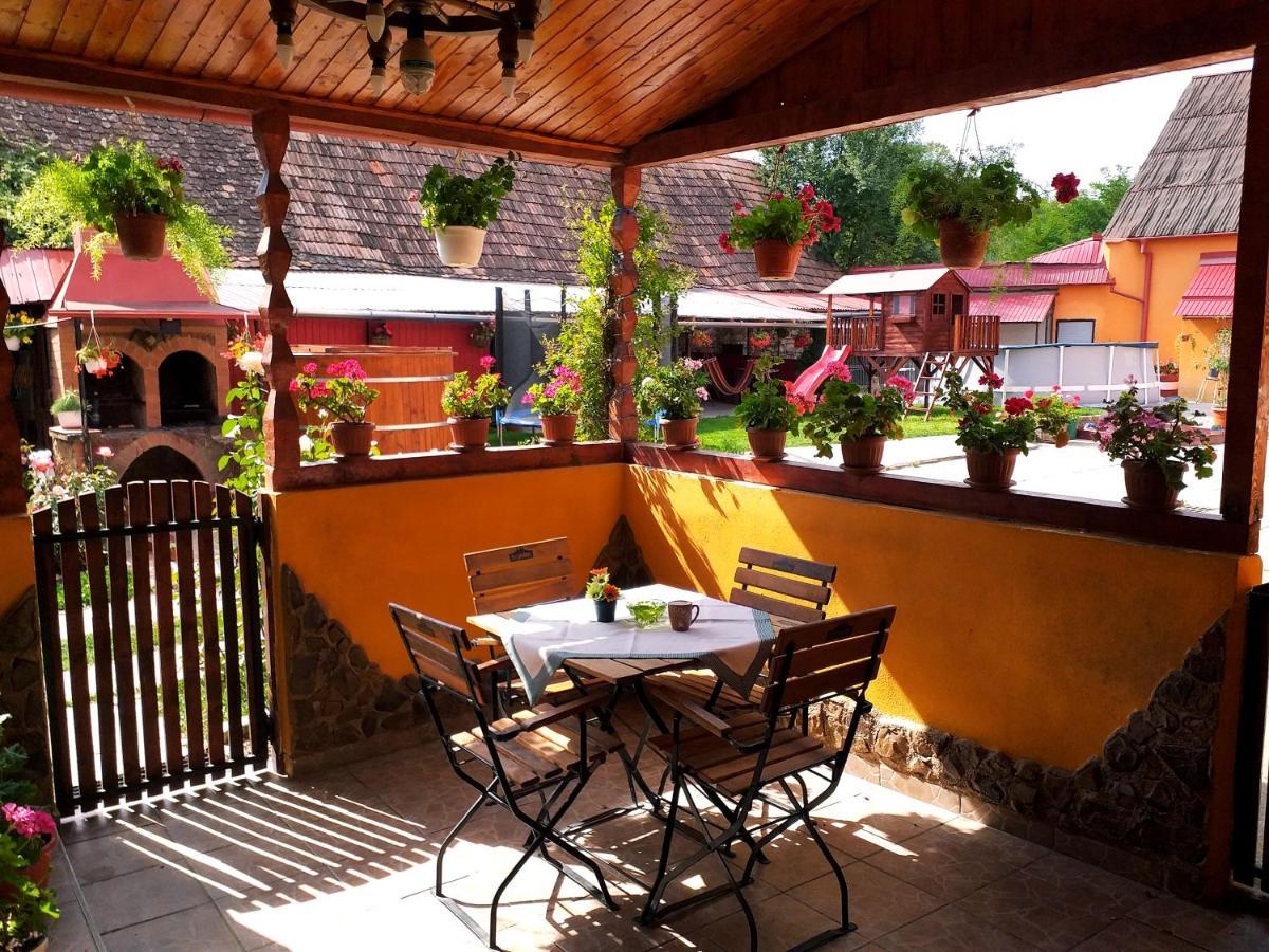 Casa Florilor Barcut Apartment Екстериор снимка