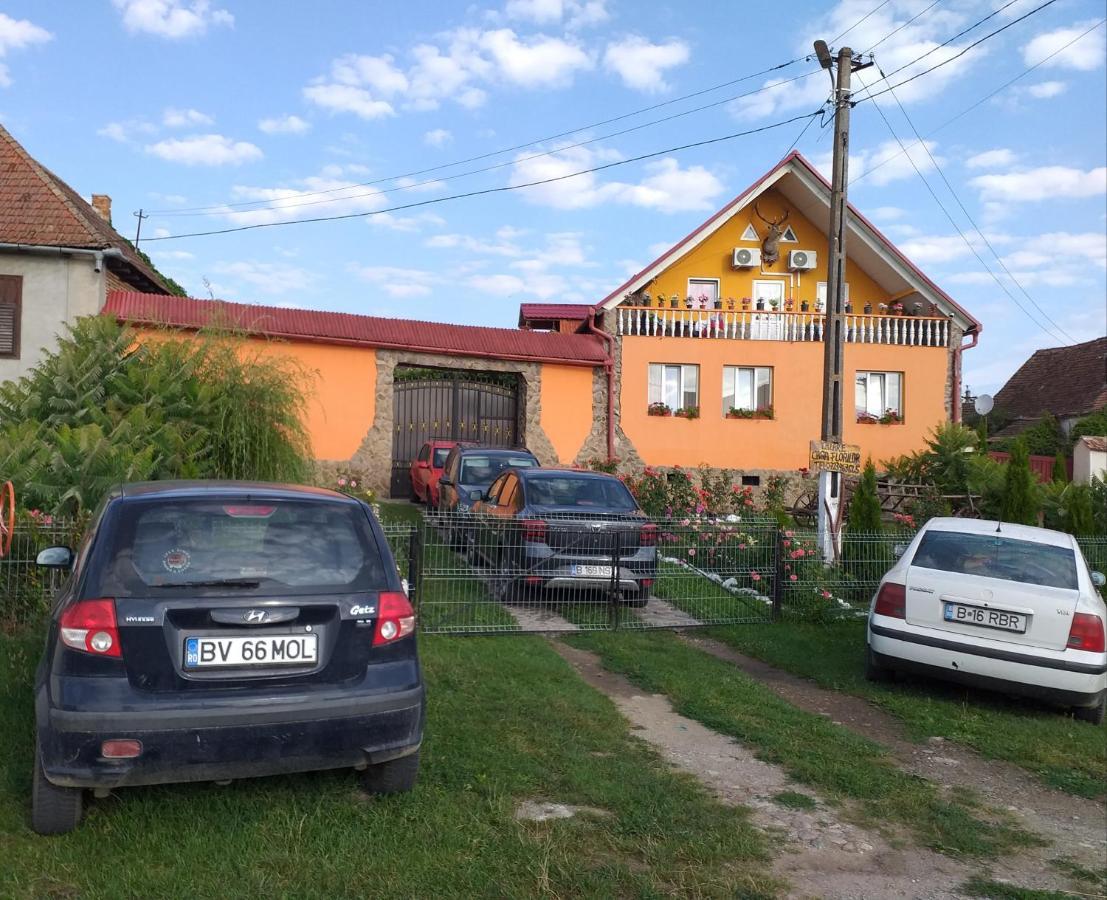 Casa Florilor Barcut Apartment Екстериор снимка