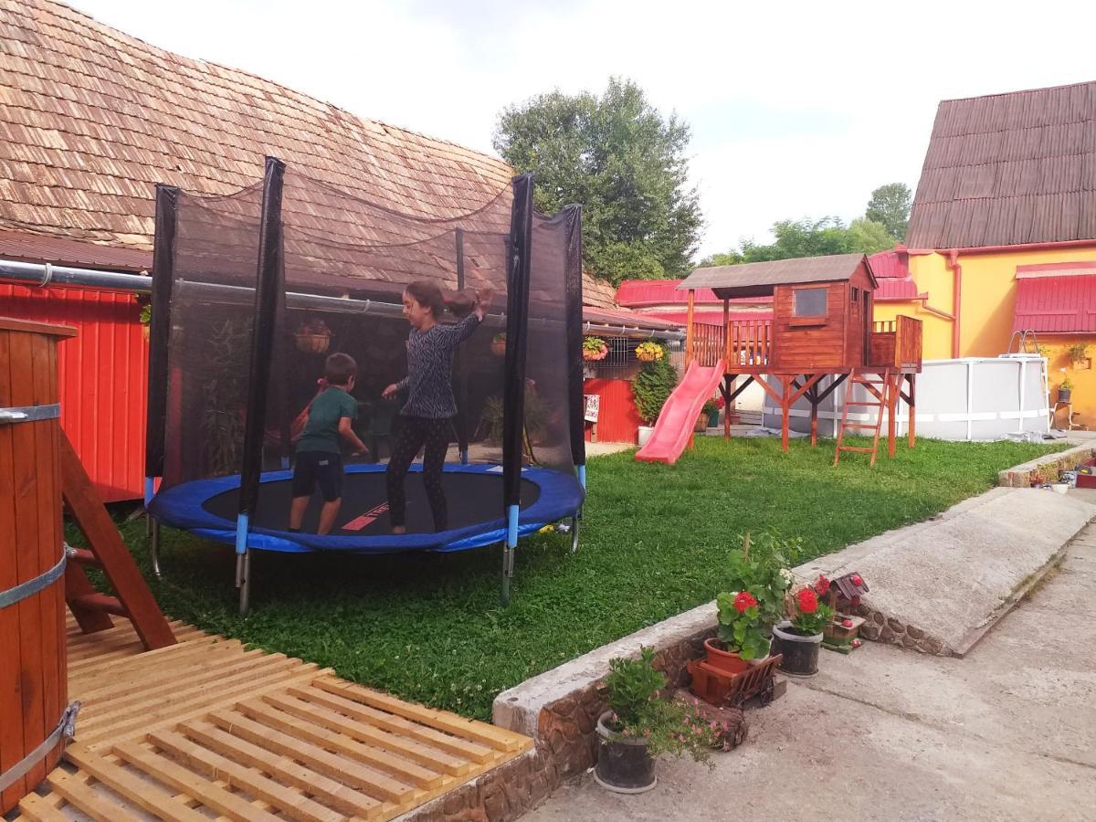 Casa Florilor Barcut Apartment Екстериор снимка