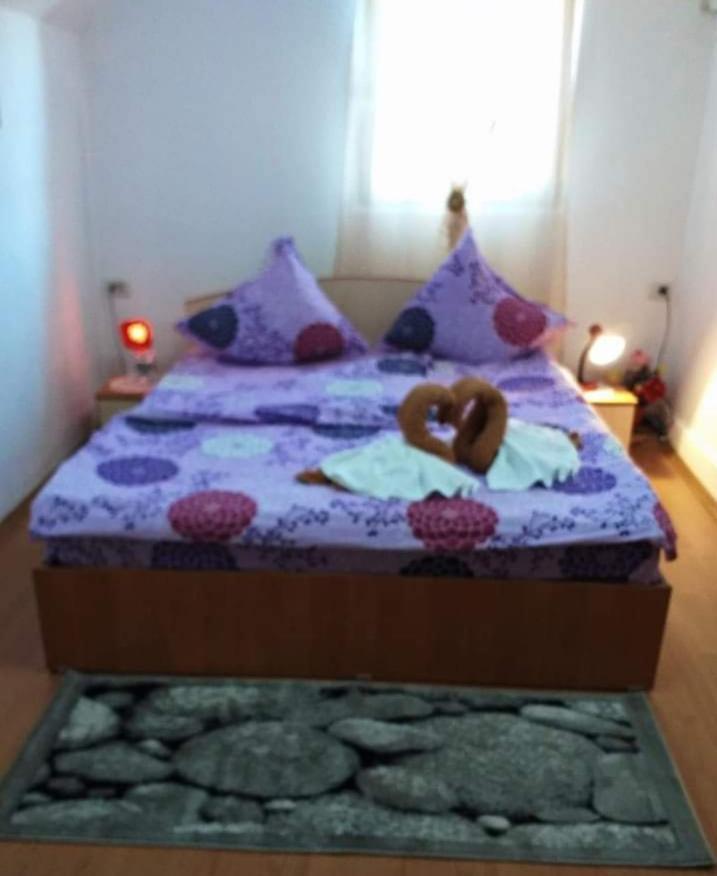 Casa Florilor Barcut Apartment Екстериор снимка