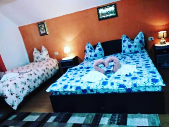 Casa Florilor Barcut Apartment Екстериор снимка