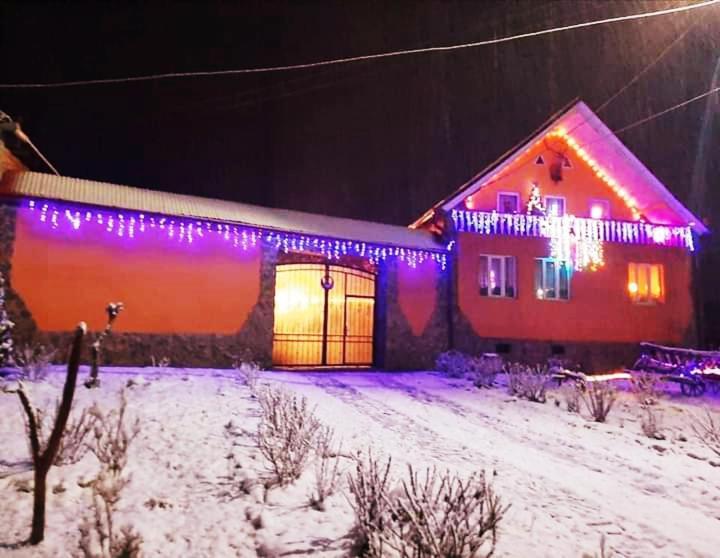 Casa Florilor Barcut Apartment Екстериор снимка