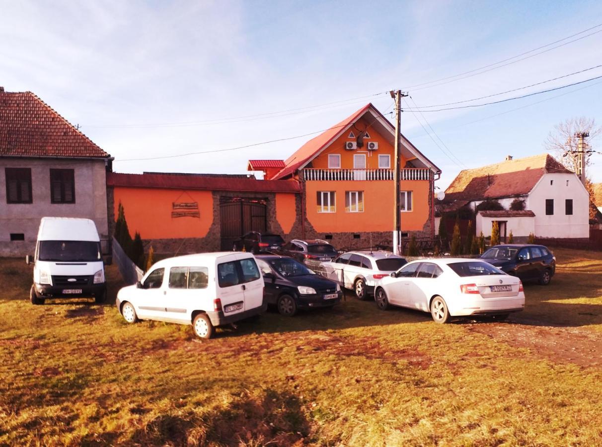 Casa Florilor Barcut Apartment Екстериор снимка