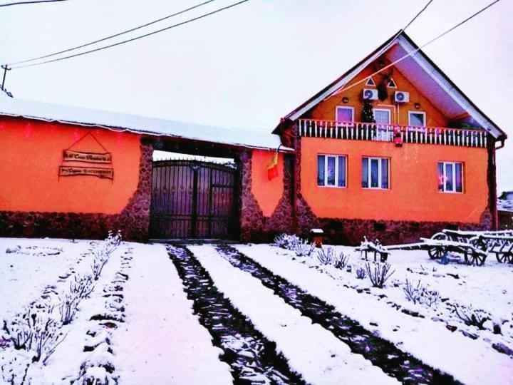 Casa Florilor Barcut Apartment Екстериор снимка