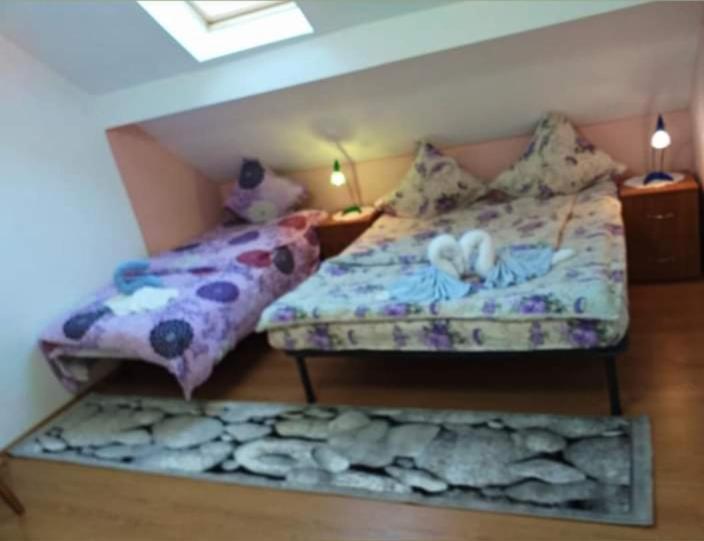 Casa Florilor Barcut Apartment Екстериор снимка