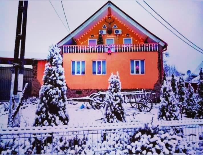 Casa Florilor Barcut Apartment Екстериор снимка
