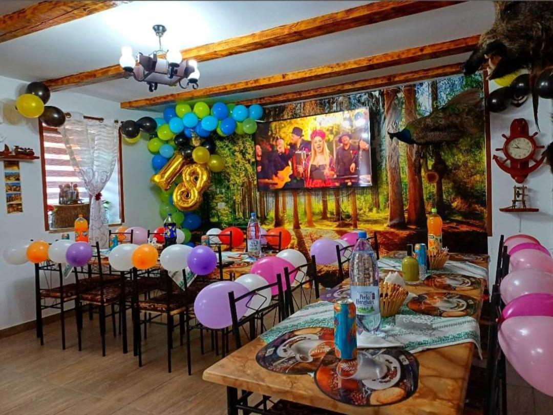 Casa Florilor Barcut Apartment Екстериор снимка