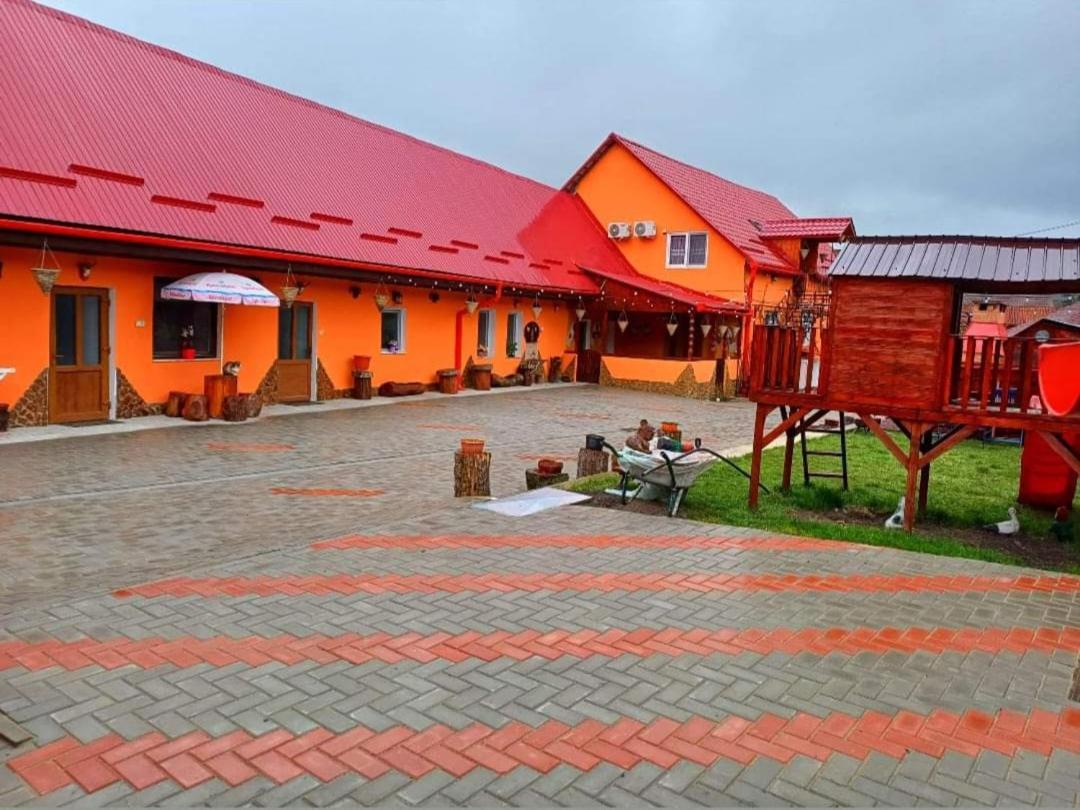Casa Florilor Barcut Apartment Екстериор снимка