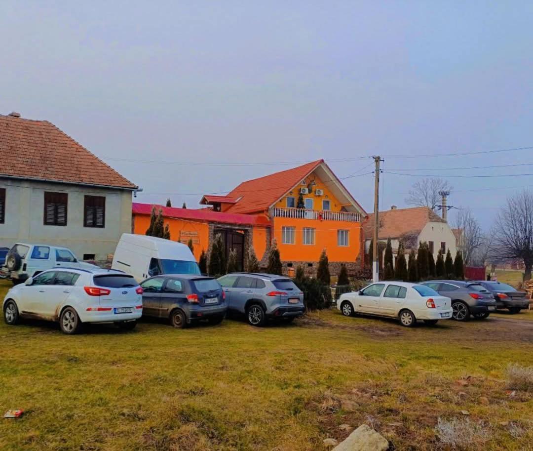 Casa Florilor Barcut Apartment Екстериор снимка