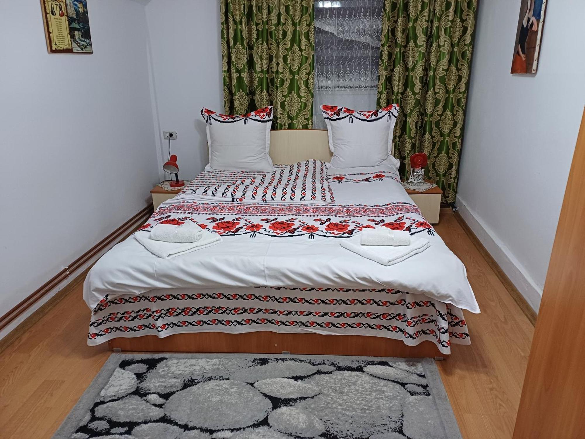 Casa Florilor Barcut Apartment Екстериор снимка