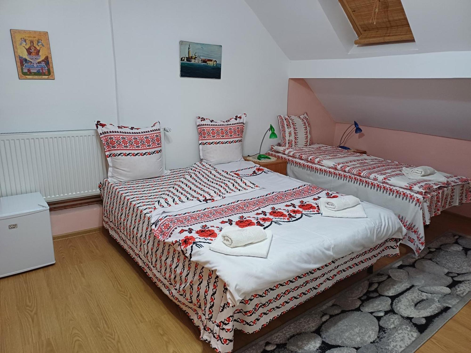 Casa Florilor Barcut Apartment Екстериор снимка