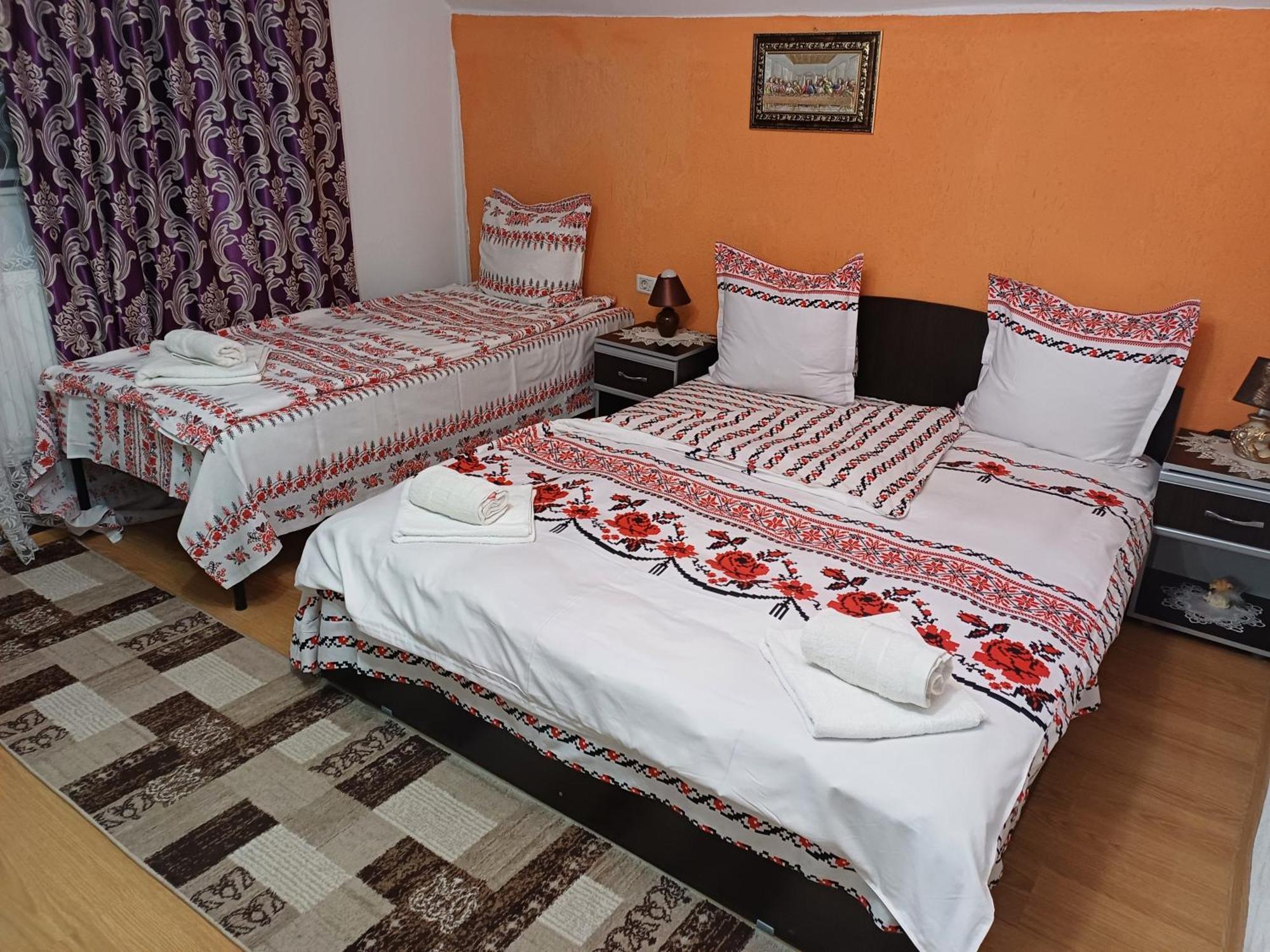 Casa Florilor Barcut Apartment Екстериор снимка