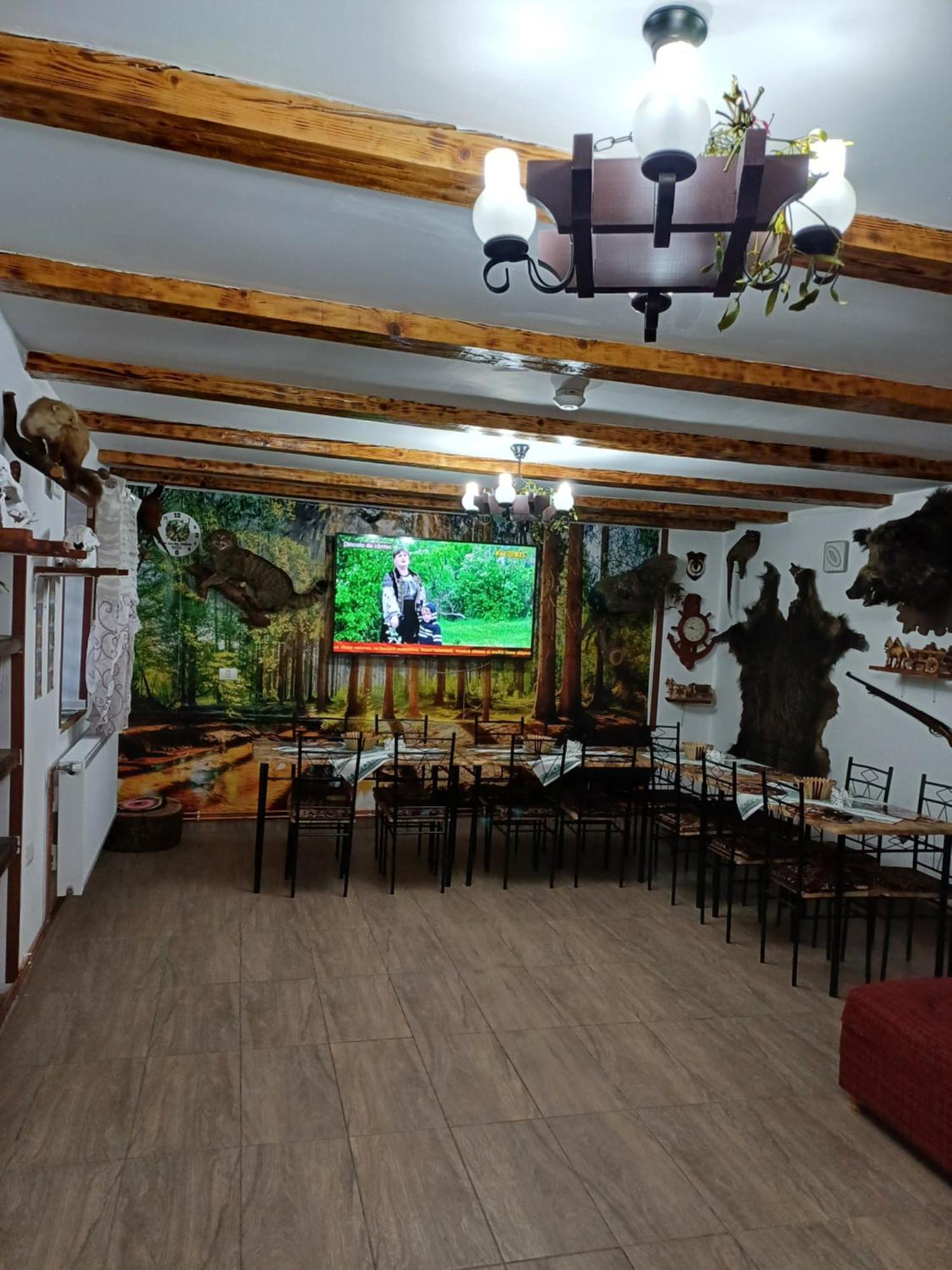 Casa Florilor Barcut Apartment Екстериор снимка