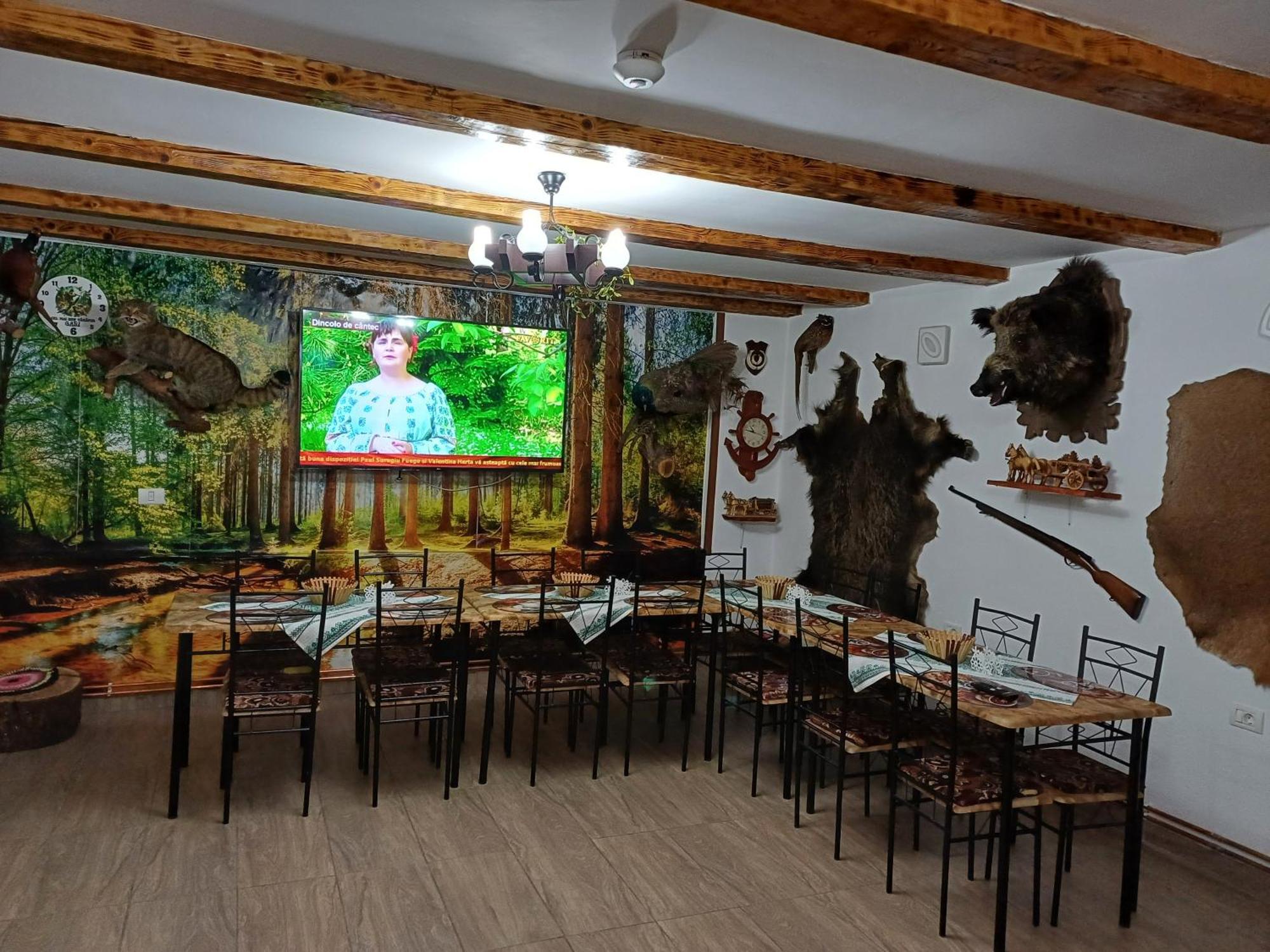 Casa Florilor Barcut Apartment Екстериор снимка