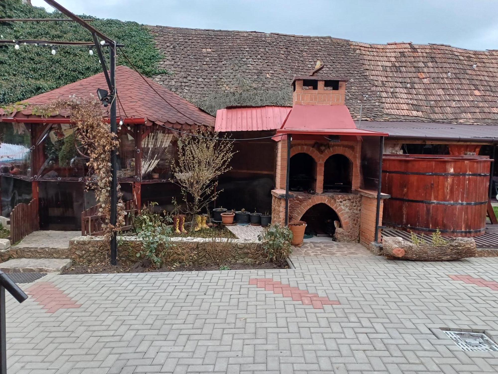 Casa Florilor Barcut Apartment Екстериор снимка