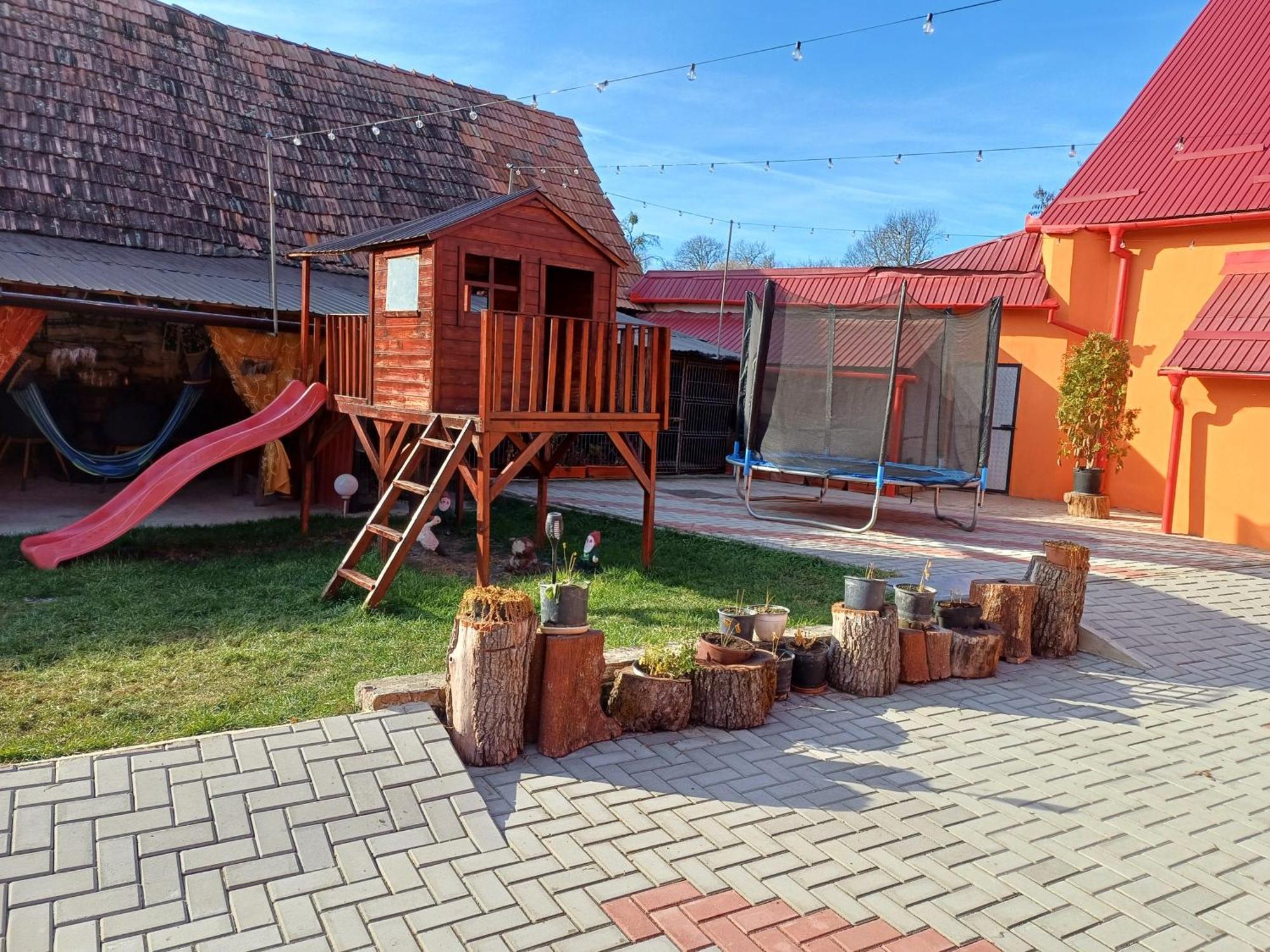 Casa Florilor Barcut Apartment Екстериор снимка